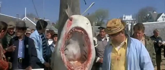 Jaws - "It's a tiger shark"