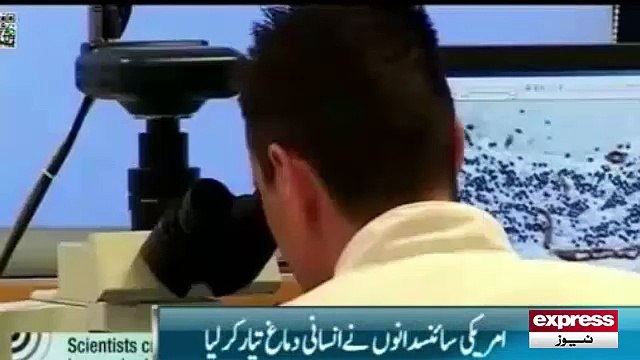 Artifical brain invented by scientest