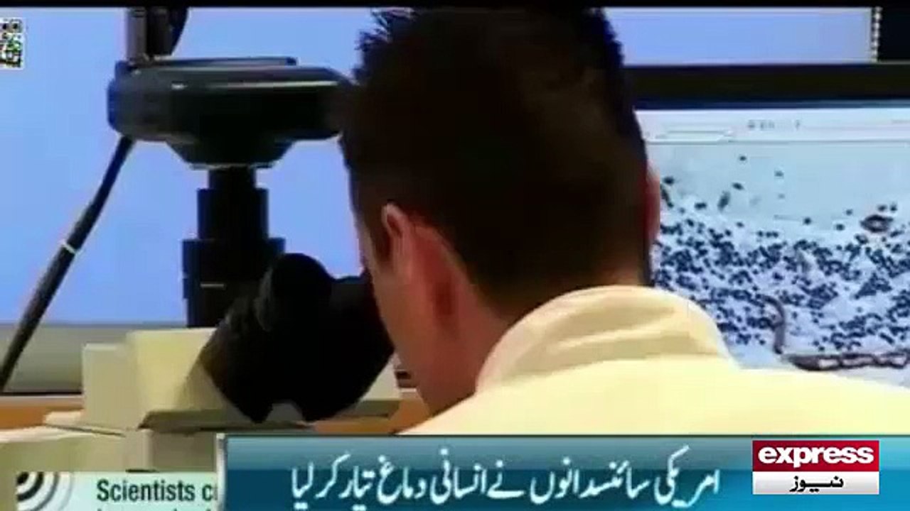 Artifical brain invented by scientest