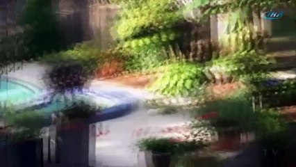 Ayının havuz keyfi