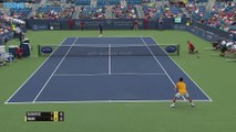 Benoit Paire fait le show face à Djokovic