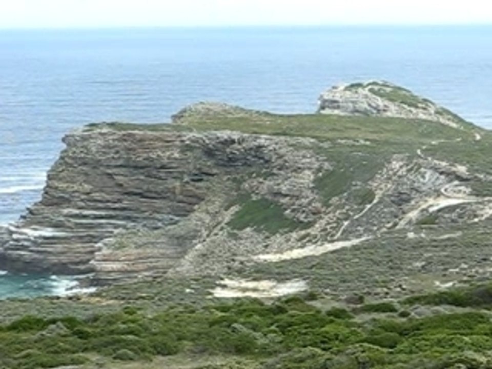 MVI_1984