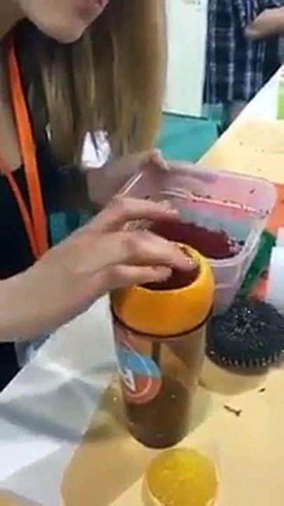 creative shesha