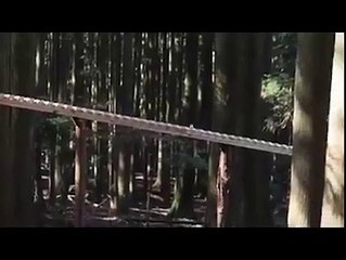 MUST SEE - Amazing Things