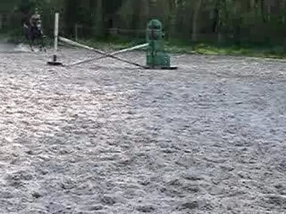 P1010017