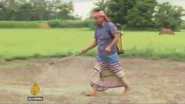 Bangladesh: pesticide poisoning takes toll on farmers