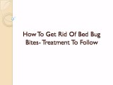How to get rid of bed bug bites- How bites look like