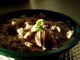 Ginkgo seed germination