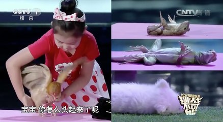 Une petite chinoise de 5 ans capable d'hypnotiser littéralement des animaux