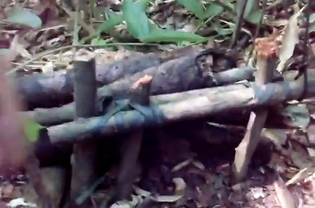 Armadilha de caça para gambá e lagarto.