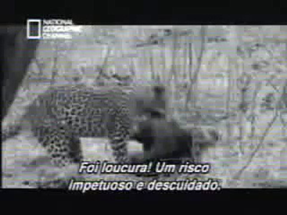 les animeaux et la vie