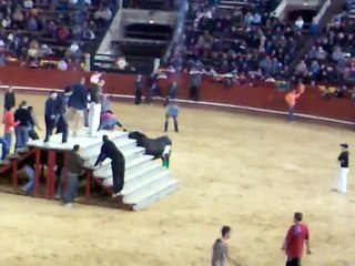 pillada toro raton fallas 2008