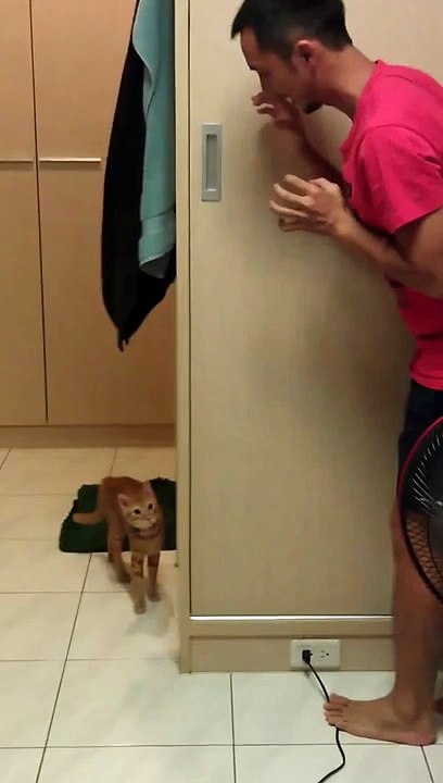 好奇心會害死一隻貓 - curiosity killed the cat