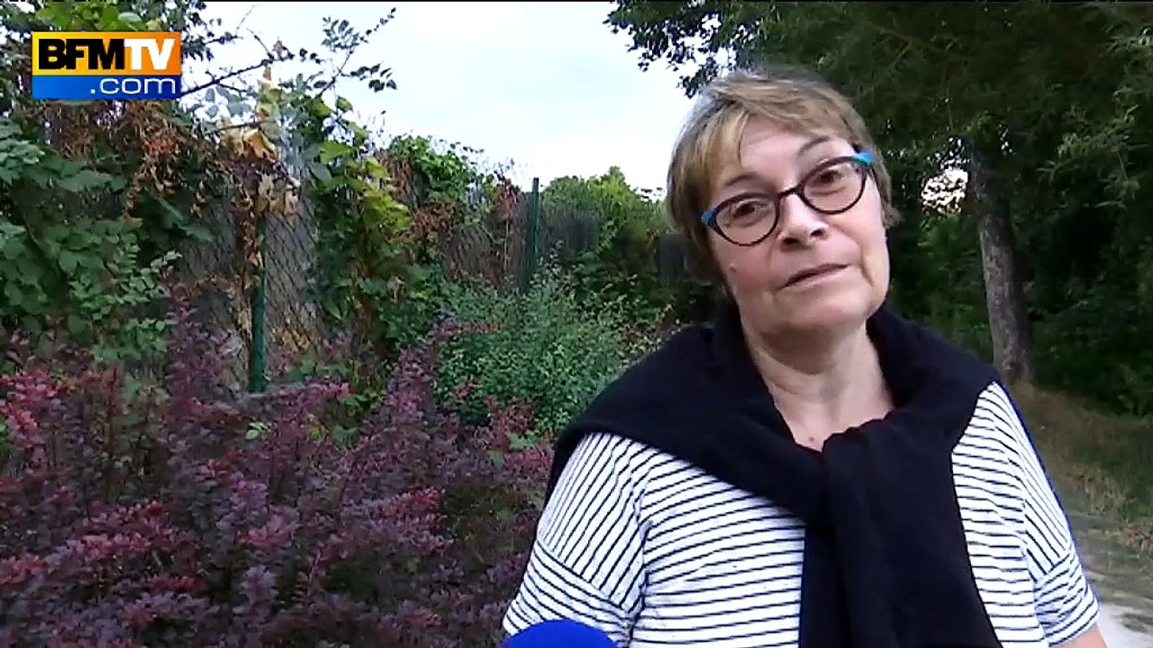 Des moustiques tigres à Paris et Créteil