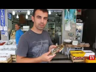 Üç kıskaçlı yengeç görenleri şaşırttı