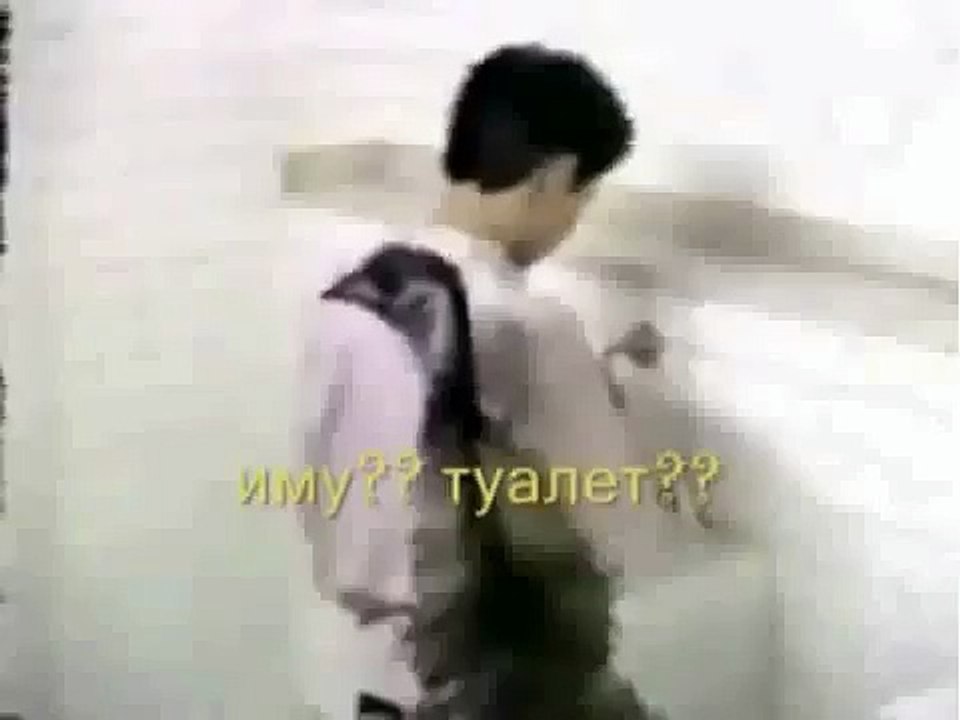 Japanese Prank   Emu in Toilet