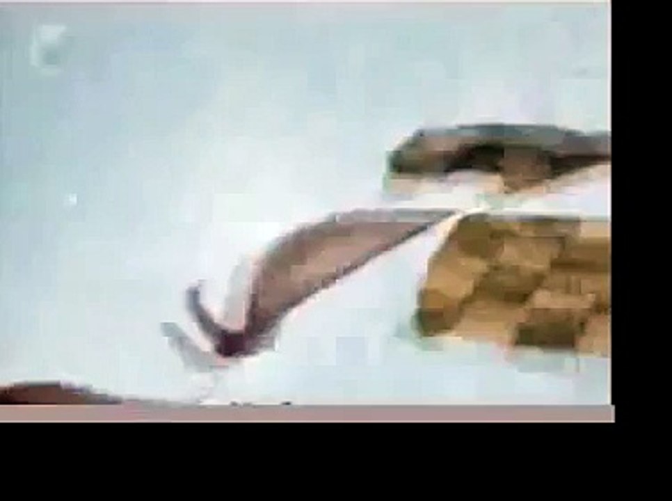 1942 Imperial Japanese Navy - Propaganda Color Footage