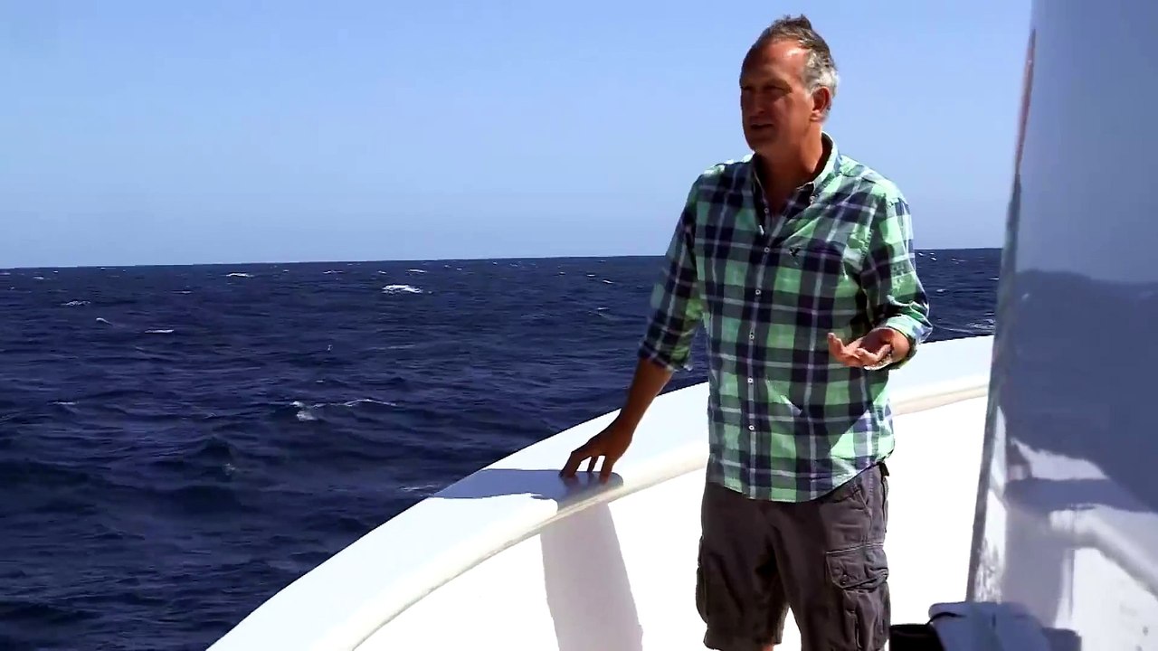 Une baleine bleue fait mentir un zoologiste