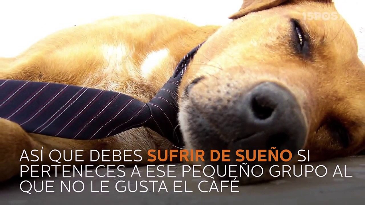 El chocolate es mejor que el café para aumentar la capacidad de concentración