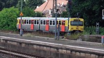 Frankfurt-Höchst [während Bauarbeiten] mit HLB, Regionalzüge (BR 143), S-Bahn Rhein-Main, Güterzug