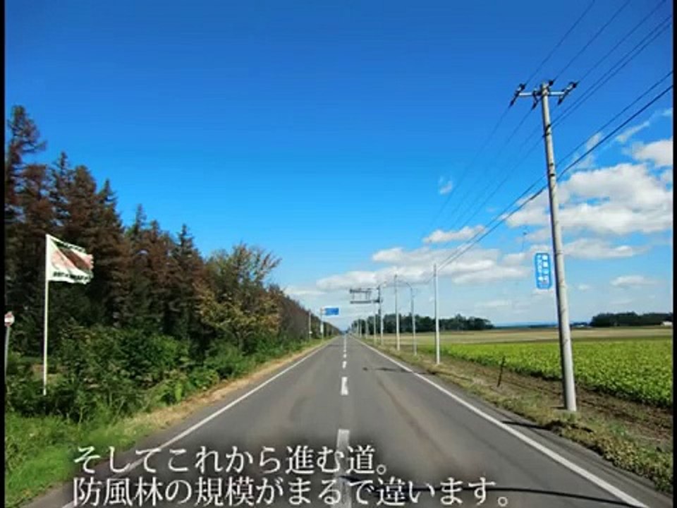 2010北海道ツーリング「十勝：防風林」