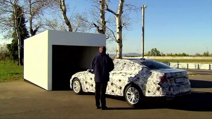 El primer auto que se estaciona sin el conductor adentro sale a la venta