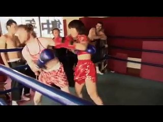 Top Jackass Moments 🎥