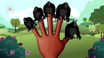 Gorilla Animal Finger Family - Finger Family Song - 3D Animation Nursery Rhymes & Songs for Children