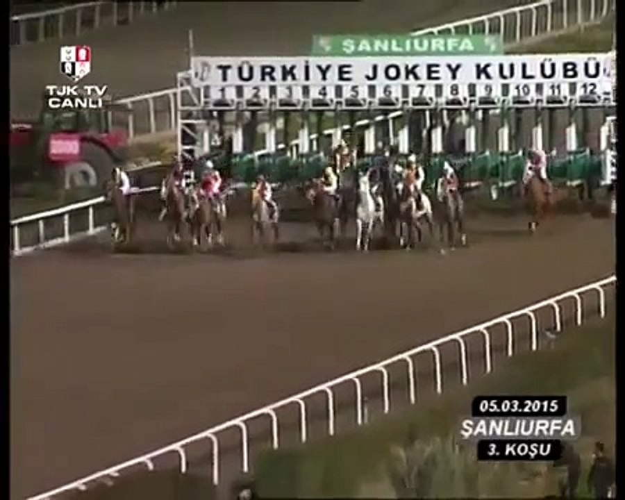 Apprentice jockey under fire for torturing racehorse