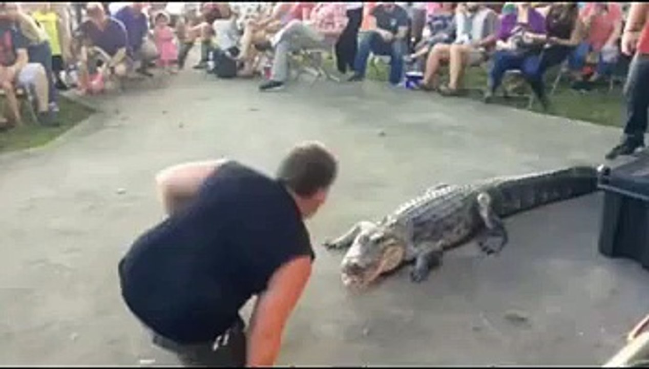 Funny Animal Attack Dont Do That