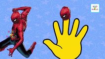 Finger Family Spiderman cartoon Family Songs | Spiderman Daddy Finger | Nursery Rhymes for Children