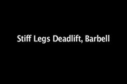 Everlast Fitness How To: Stiff Legs Deadlift With Barbell