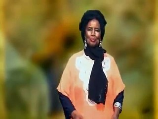 Top 10 Somali Songs of 2014  -  5 Hibo Nuura – Xidig