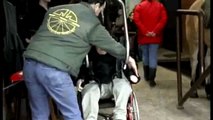 Hoist for Hippotherapy - Disabled Horseback Riding Video
