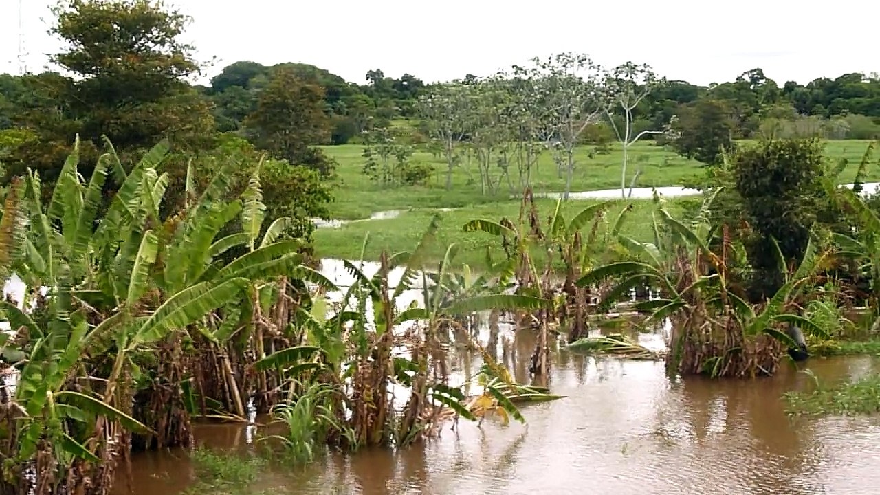 Au fil de l'Amazone (Brésil)