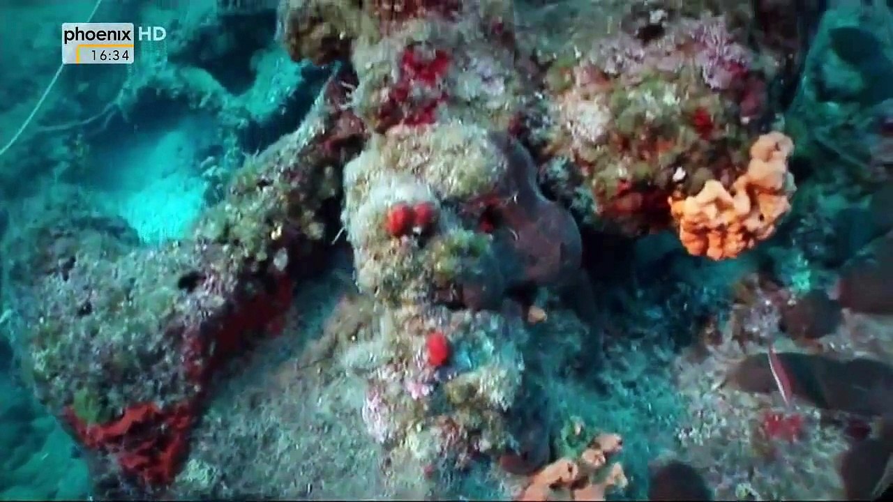 Tauchfahrt in die Antike - Versunkene Schiffe in der Agais