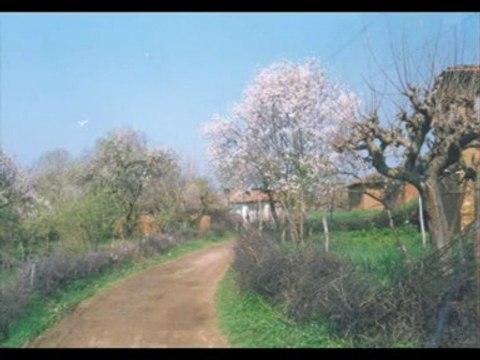 HAYRİ ŞAHİN- adaletsiz bu sevda bi tanem değilsin bir tanem değilsin artık sen