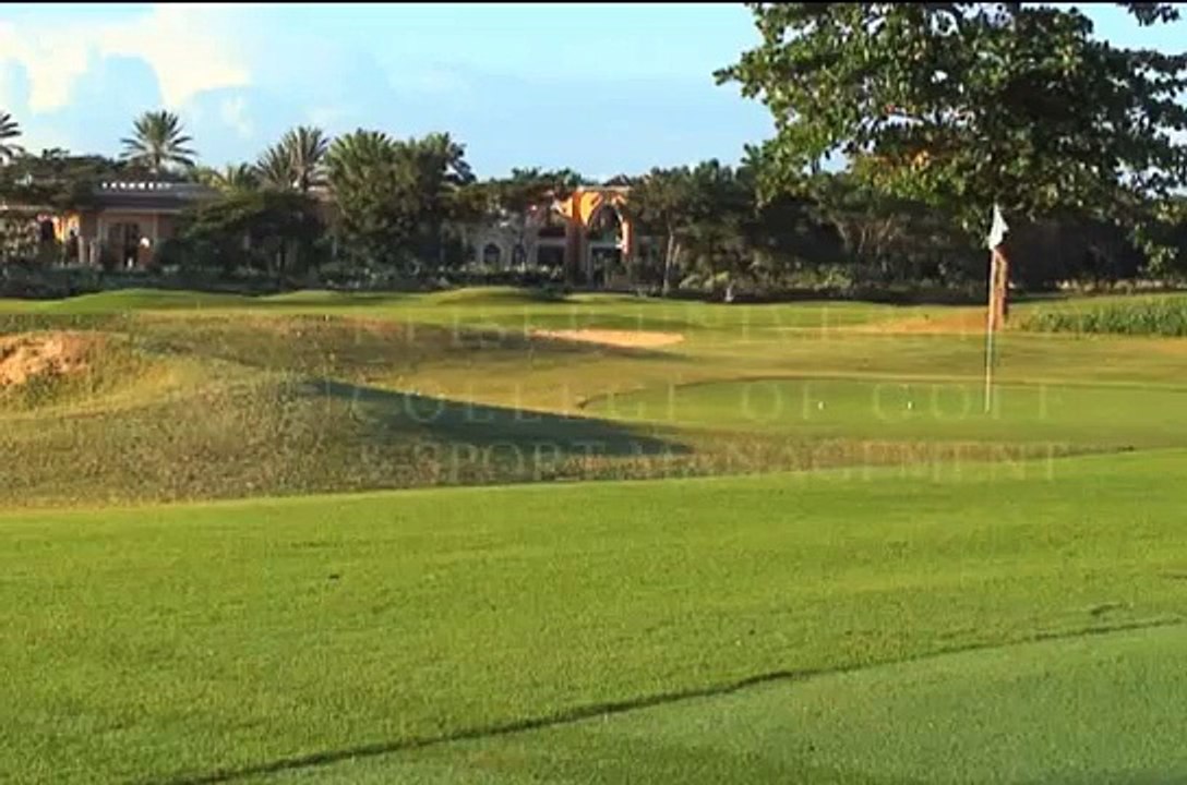Tips to Improve Your Sand Shots