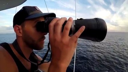 Un zoologiste explique à quel point il est difficile d’observer une baleine bleue, quand soudain !