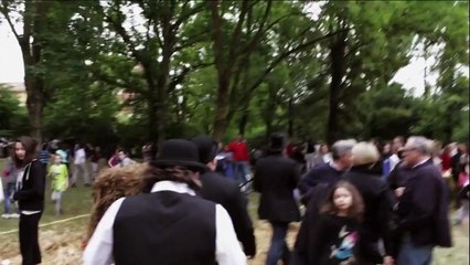 CELLAMARE - DREAMING CALIFORNIA