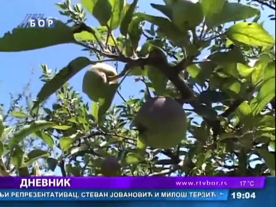Dnevnik, 20. avgust 2015. (RTV Bor)
