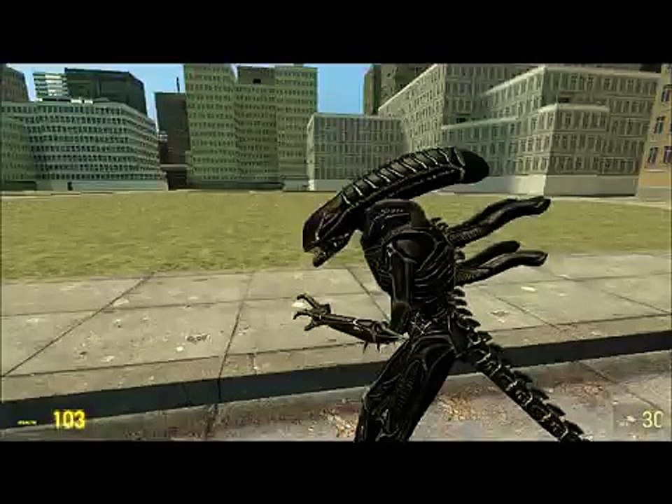A Day In The Life Of A Xenomorph