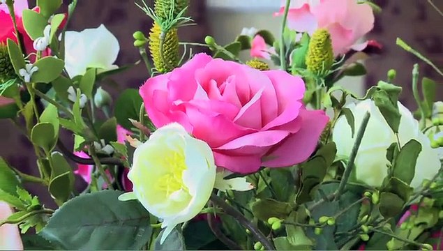 Dental Practice - Bridgeport, CT - DeJesus Dental Group