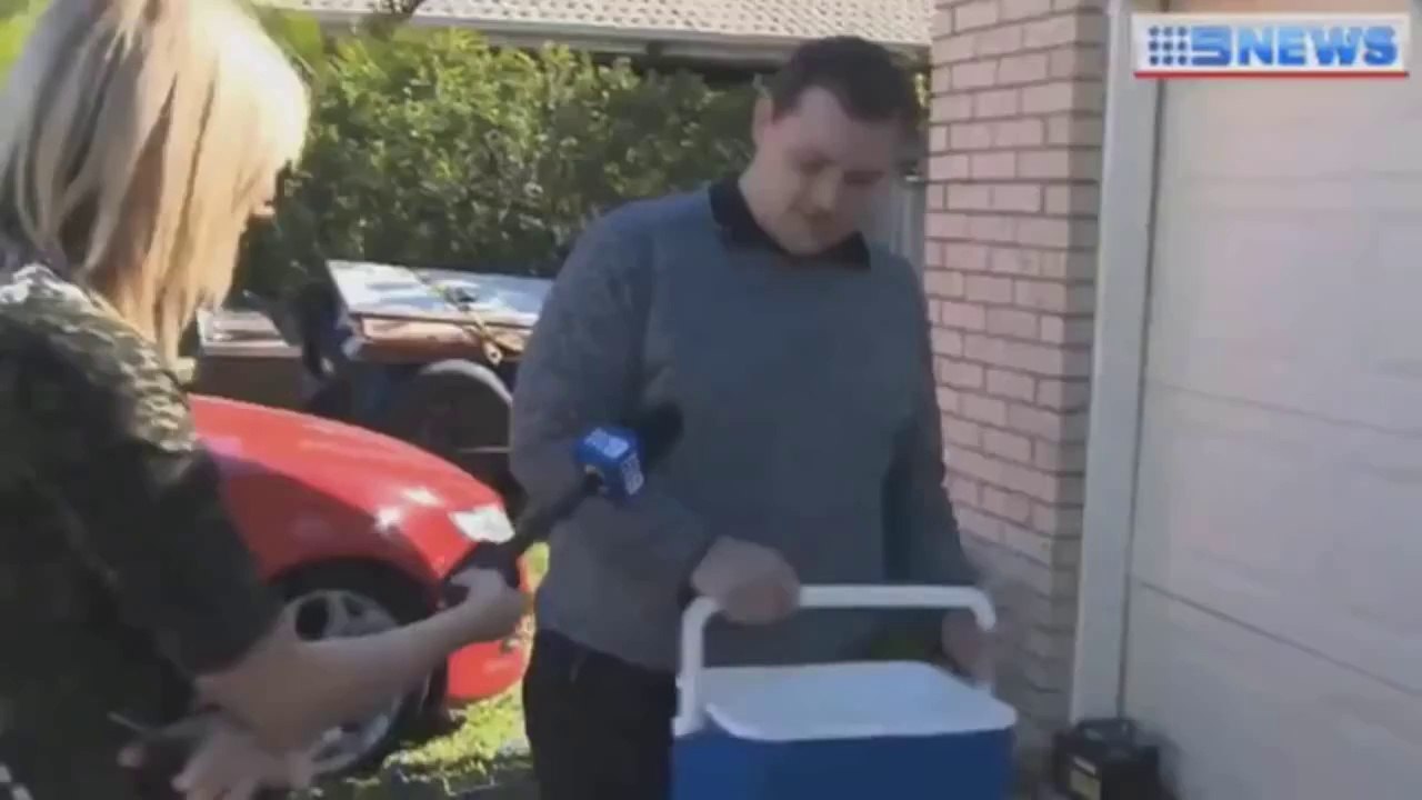 Funny Videos Try Not To Laugh Challenge Funny Pranks Funny Moments Funny Bloopers