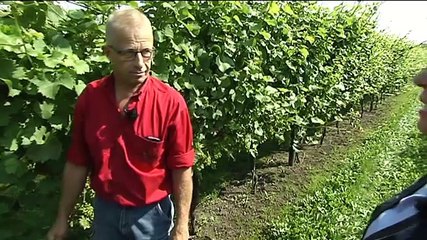 Het Weer: Harma bie de boer [20-8-2015] - RTV Noord