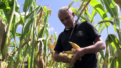 Milionske štete na sjeveru BiH zbog suše