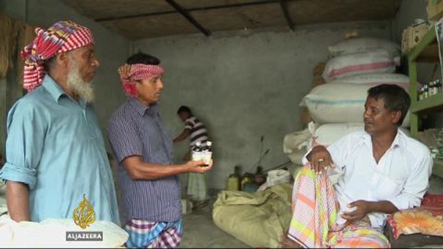 Bangladesh farmers suffer from effects of pesticides