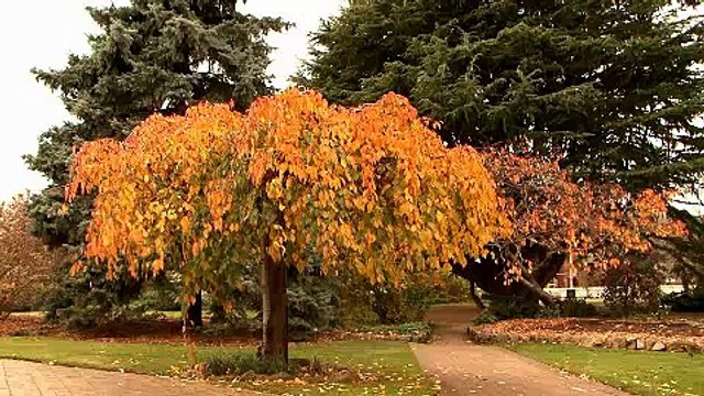 Bowral Southern Highlands NSW