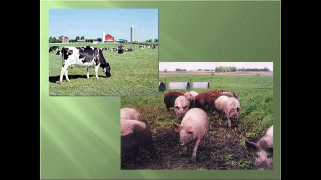 Monsanto Corporation gets owned by 11 year old boy