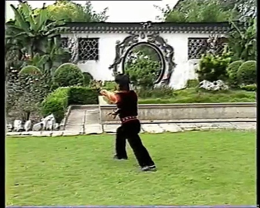 Tiger & Crane Form by Yang Shi Wen